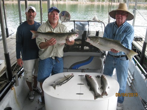 Nice Striped Bass
